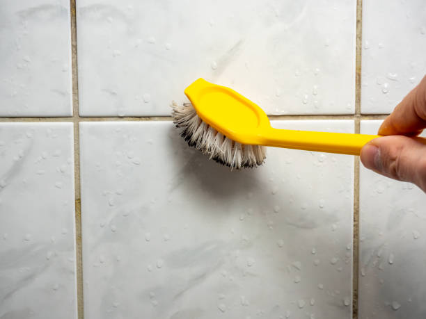 Best Fast Mold Removal  in Pendergrass, GA