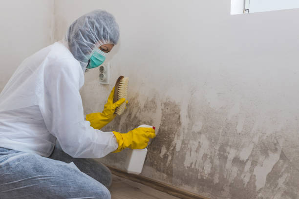 Water Damage Restoration in Pendergrass, GA