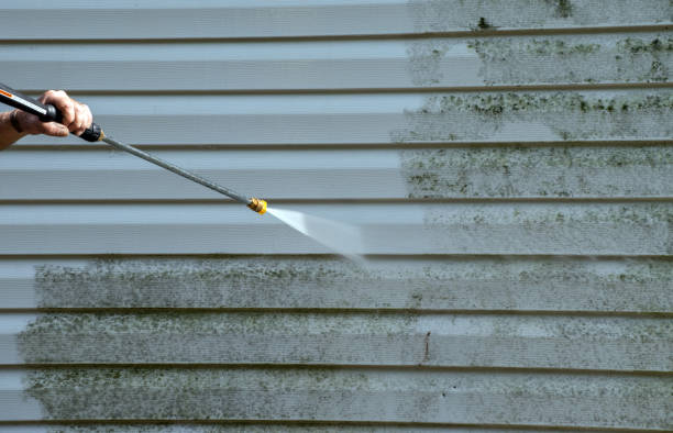 Best Commercial Mold Removal  in Pendergrass, GA