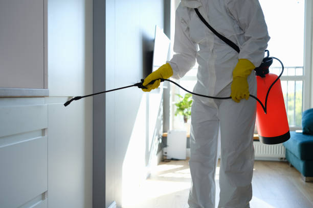 Best Local Mold Removal Service  in Pendergrass, GA