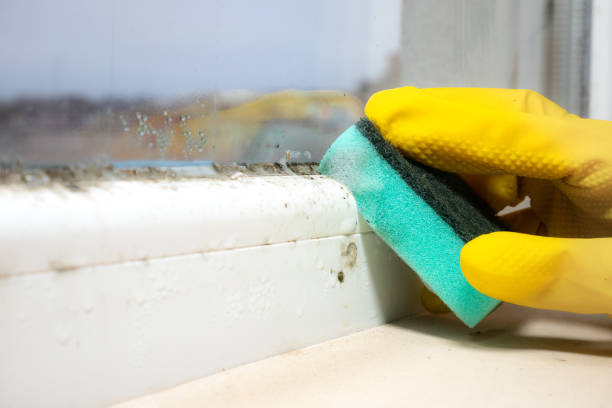Best Mold Testing  in Pendergrass, GA