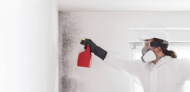 Best Emergency Mold Removal  in Pendergrass, GA